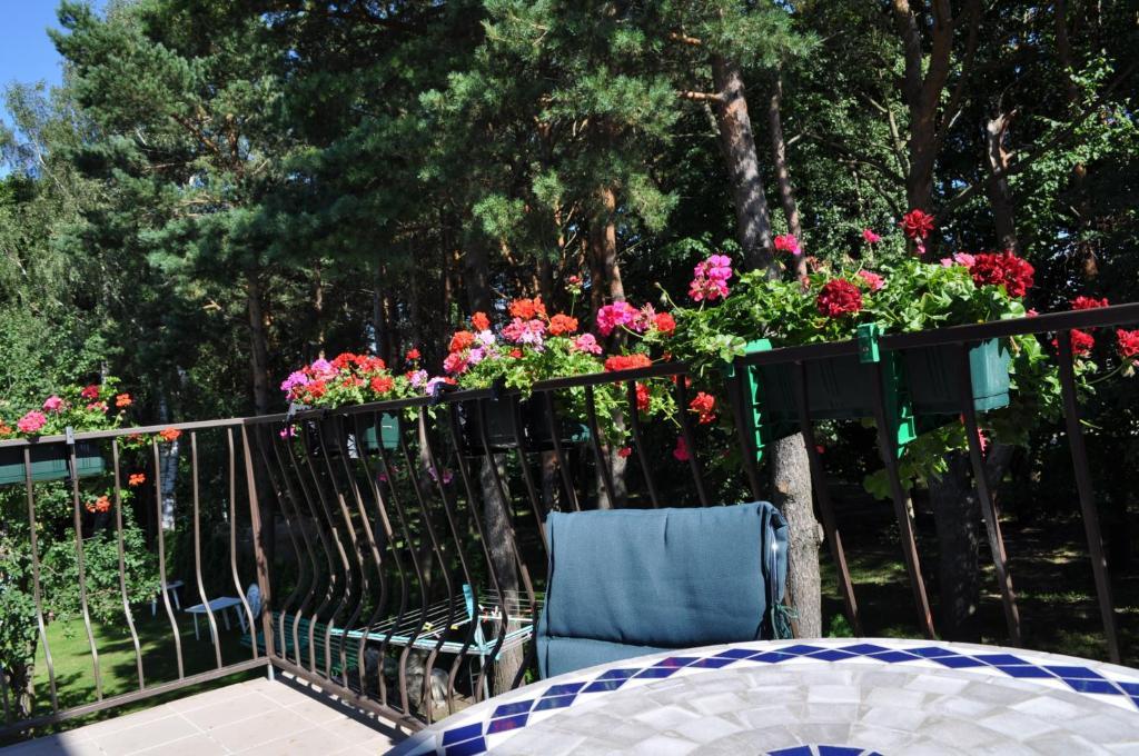 Agava Villa Palanga Eksteriør bilde